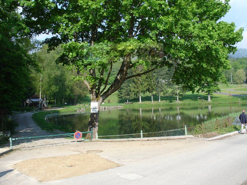 DSC03156.JPG