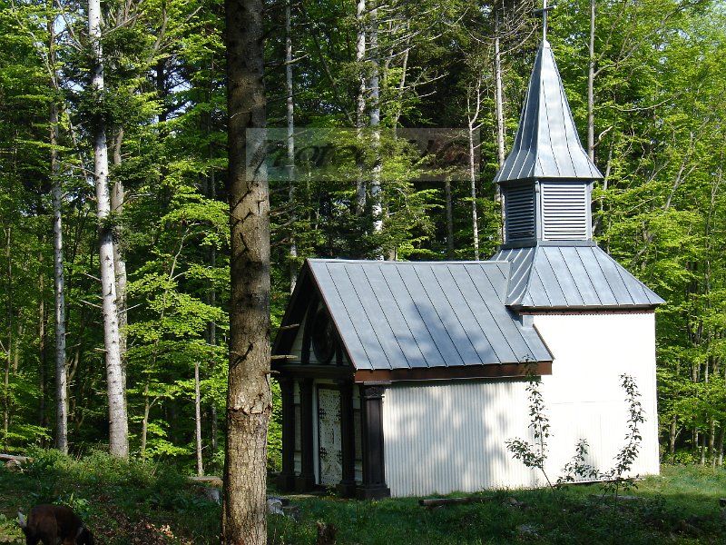 DSC03173.JPG