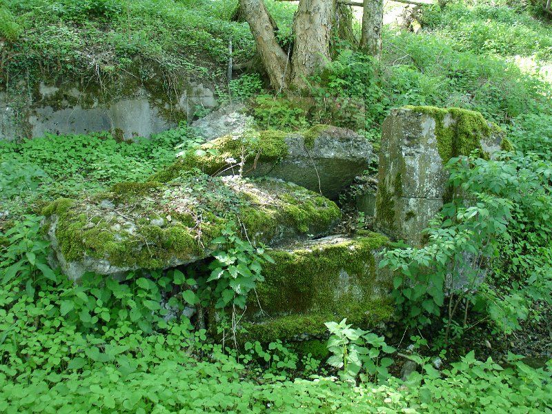 DSC03339.JPG