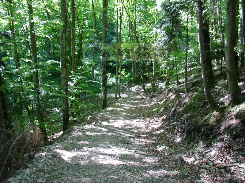 DSC03347.JPG