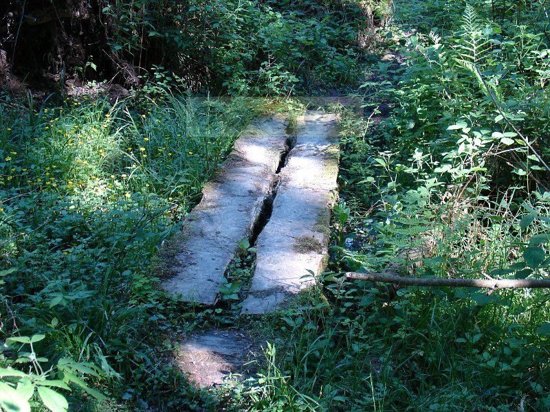 DSC03352.JPG