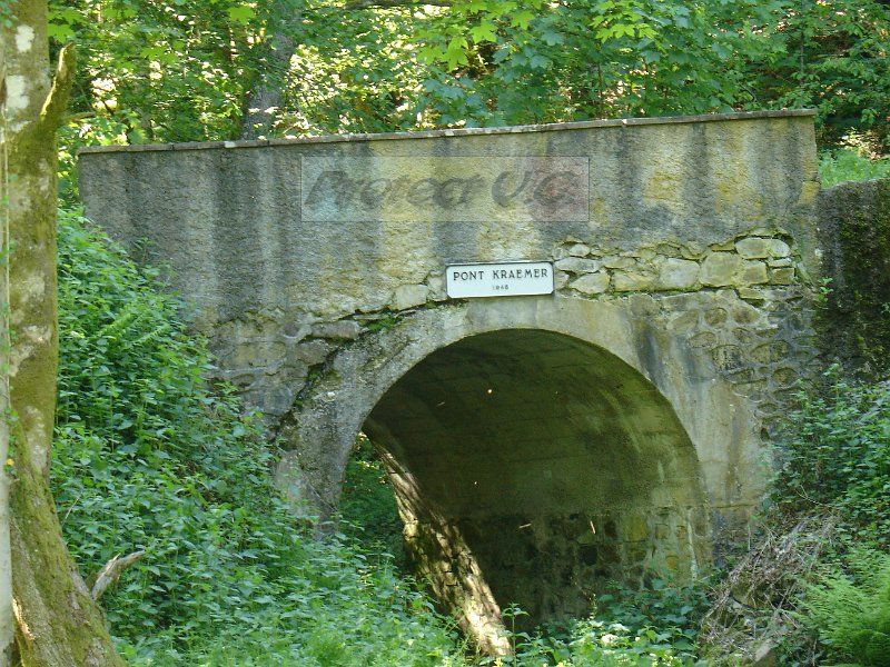 DSC03358.JPG