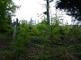 DSC03176