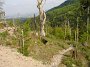 DSC03181