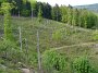 DSC03183