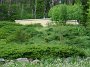DSC03187