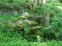 DSC03339