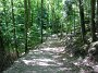 DSC03347