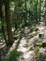 DSC03349