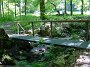 DSC03354