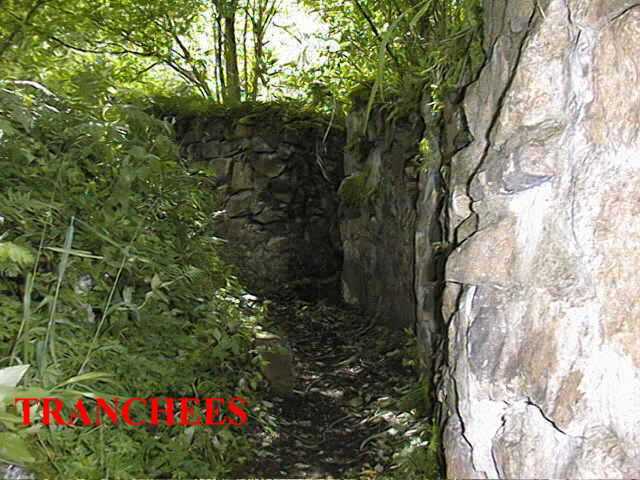 155.jpg
