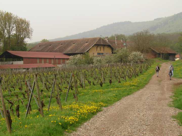19.JPG