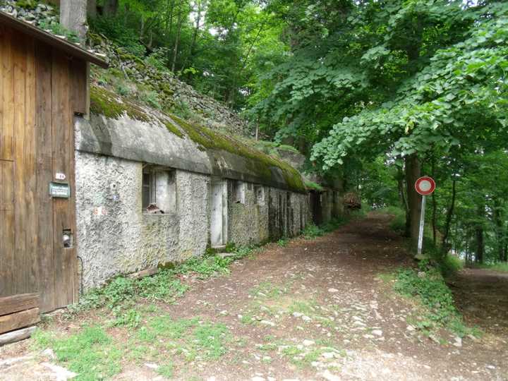 280.JPG