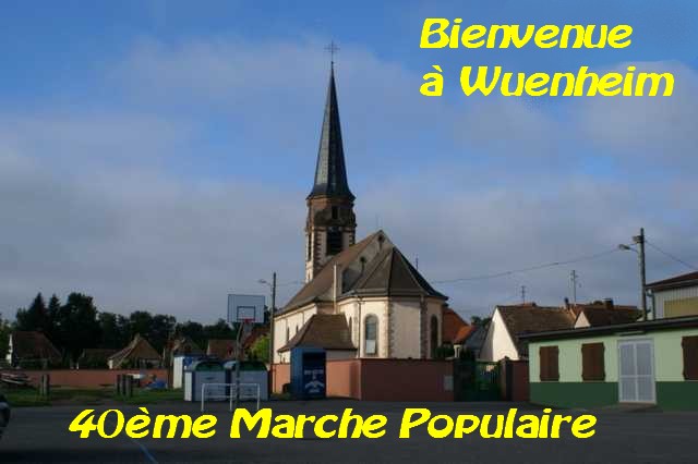 MP2014_1.jpg