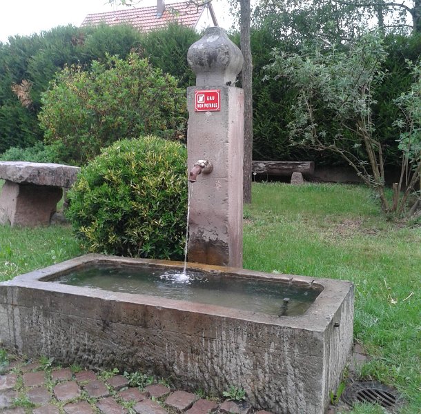 MP2014_11.jpg