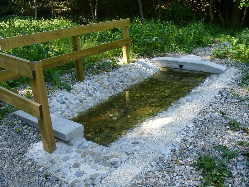 MP2014_301.JPG
