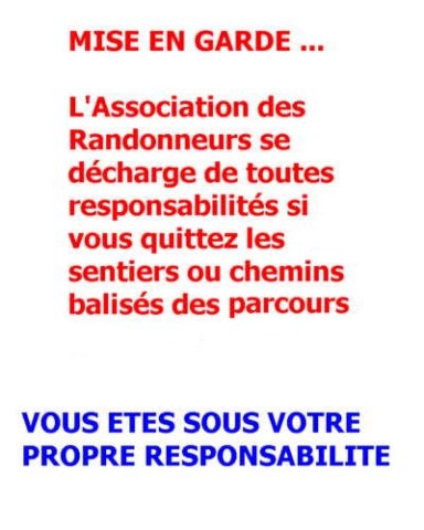 MP2014_5.jpg