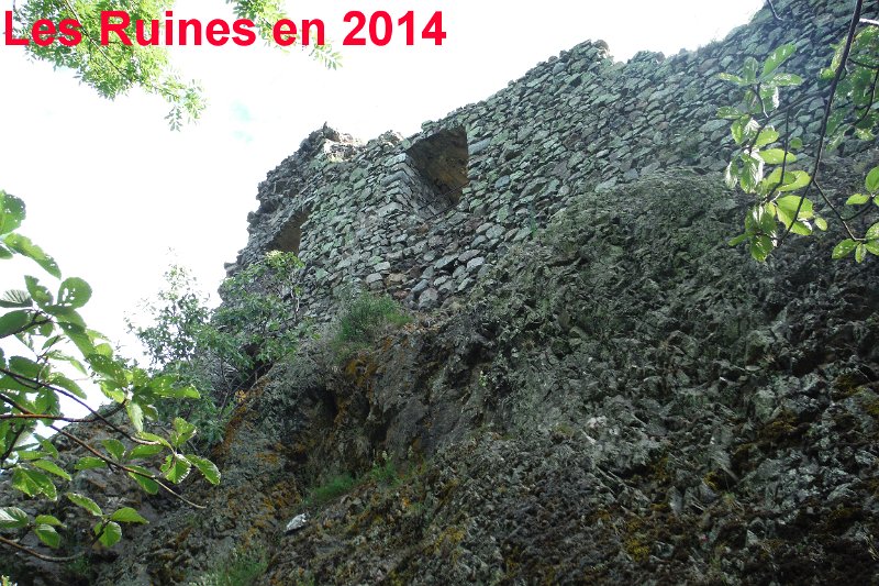 MP2014_555.jpg