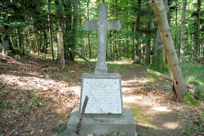 MP2014_573.jpg