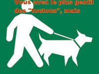 Chien Laisse