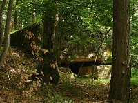 DSC02569