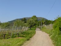 DSC07452