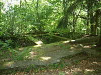 DSC07469-1