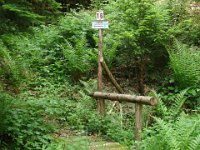 DSC07479-1