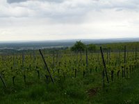 DSC07510