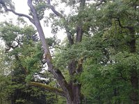 Photo-0014