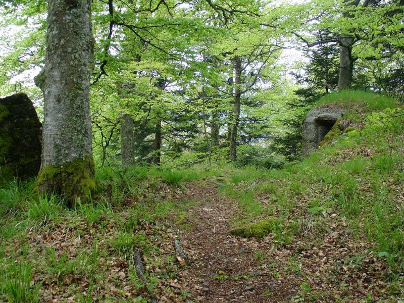 DSC03166.JPG