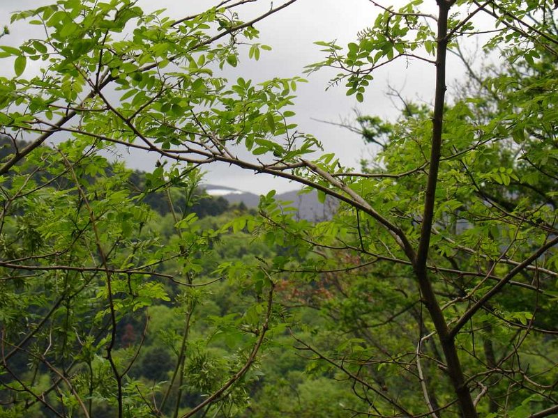 DSC04735.JPG