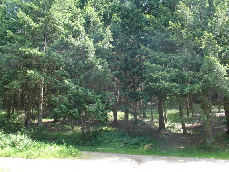 DSC04808.JPG