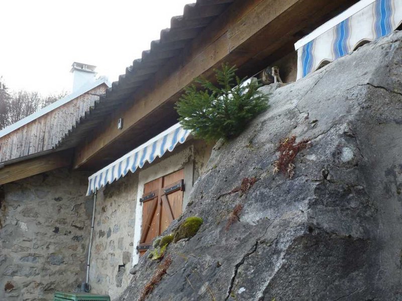 P1000800.JPG