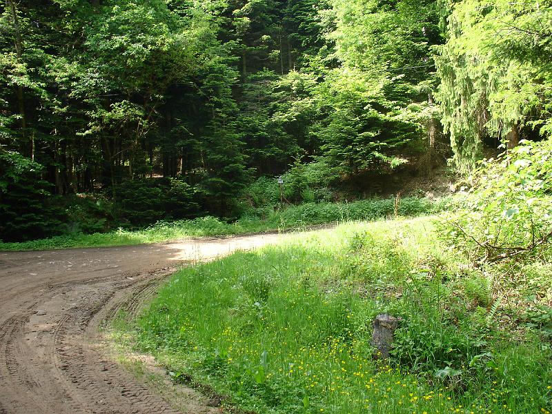 DSC02555.JPG - Au choix : Grand ou Petit parcours