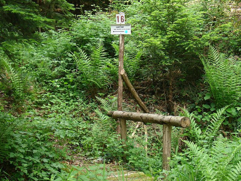 DSC02558.JPG - SPECIFIQUE 12 KM