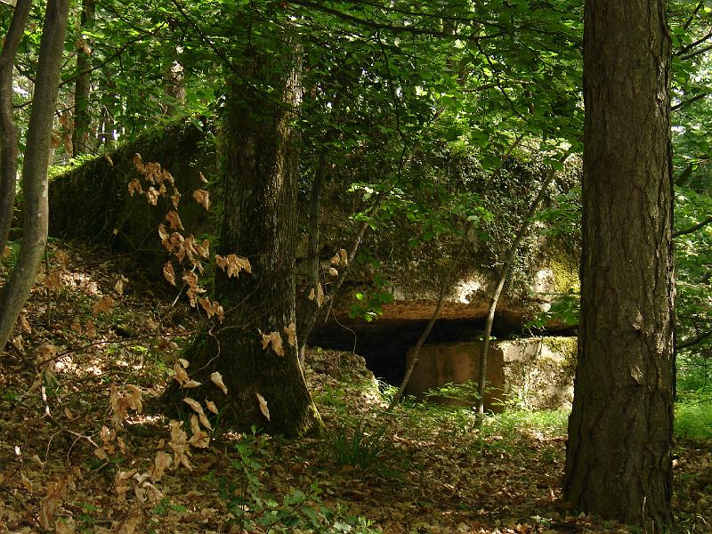 DSC02569.JPG - SPECIFIQUE 12 KM  " Feste Baden "