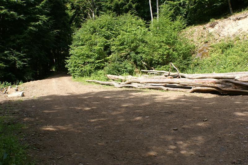 DSC02807.JPG