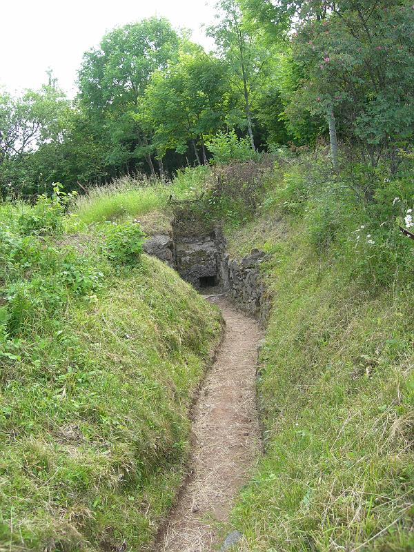 DSCN1799.JPG