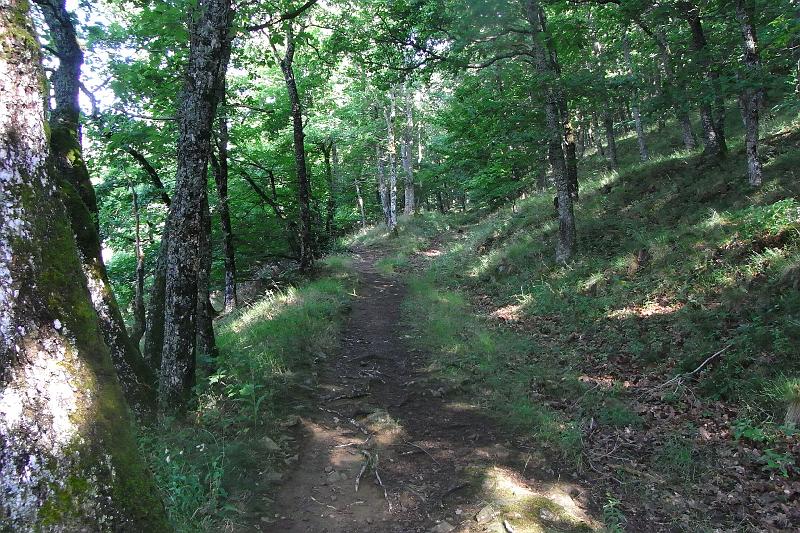 RIMG0345.JPG
