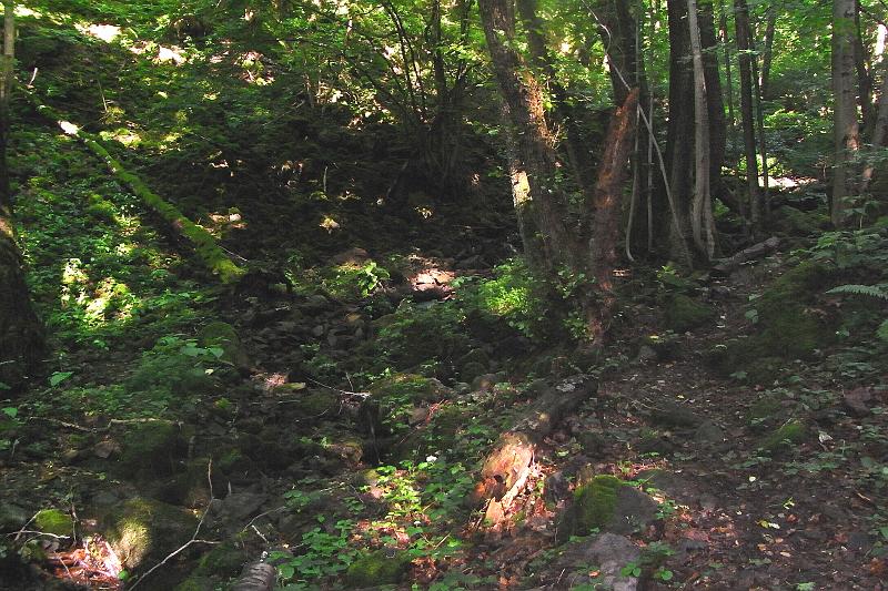 RIMG0347.JPG