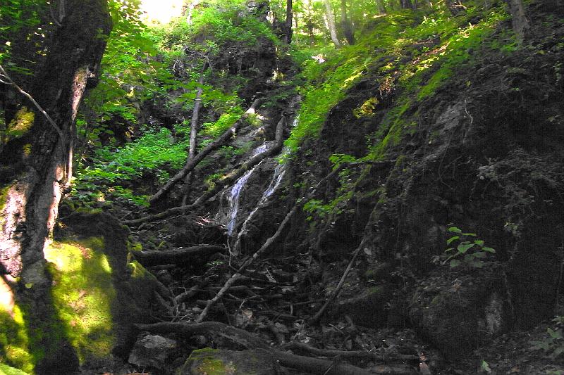 RIMG0350.JPG - Cascades