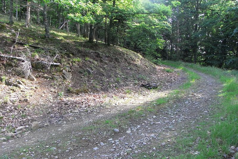 RIMG0359.JPG