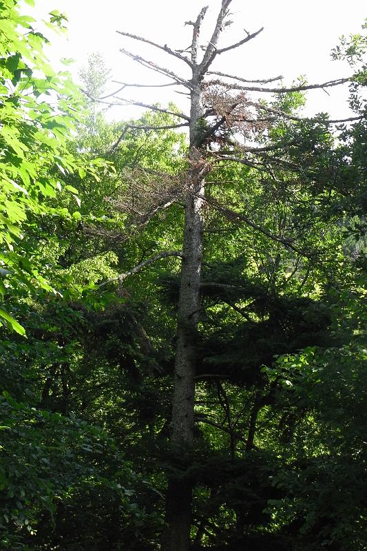 RIMG0361.JPG