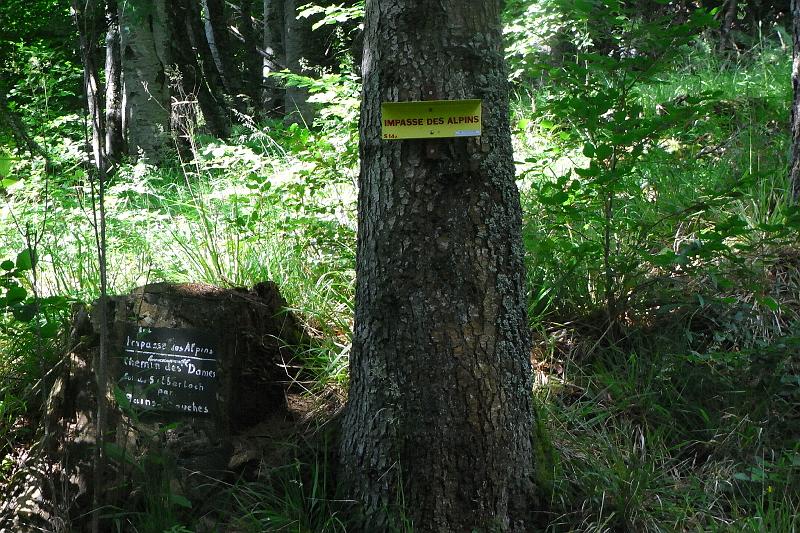 RIMG0371.JPG - En haut, à la sortie de l'Impasse