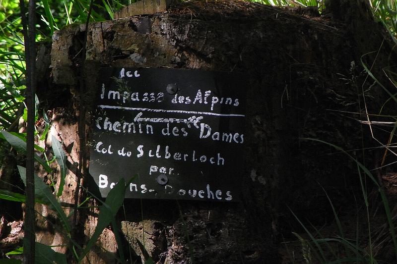 RIMG0372.JPG