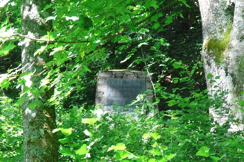 RIMG0376.JPG