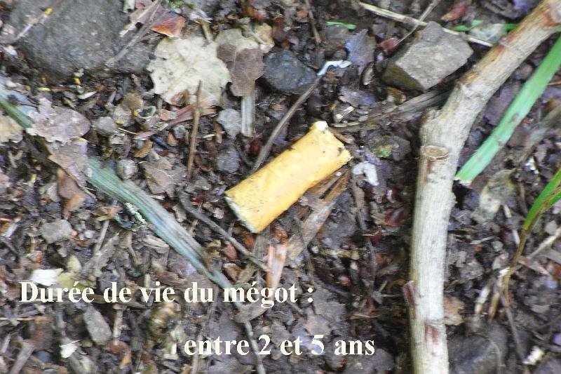 RIMG0382.JPG - VERITABLE MEGOT DE CIGARETTE !!!