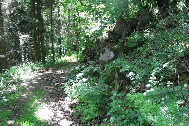 RIMG0438.JPG
