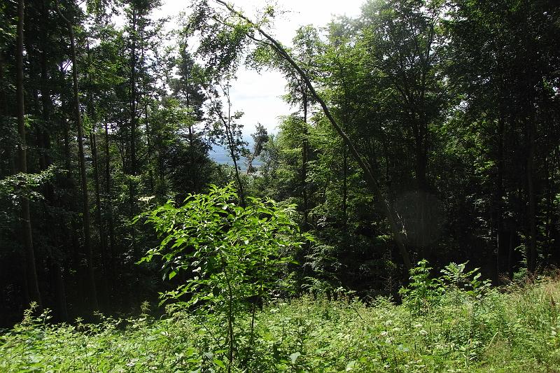 RIMG0440.JPG